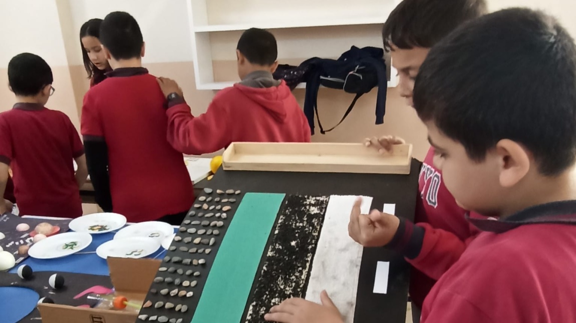 Yıl Boyunca Yapılan Fen Çalışmaları Sergide Buluştu! 